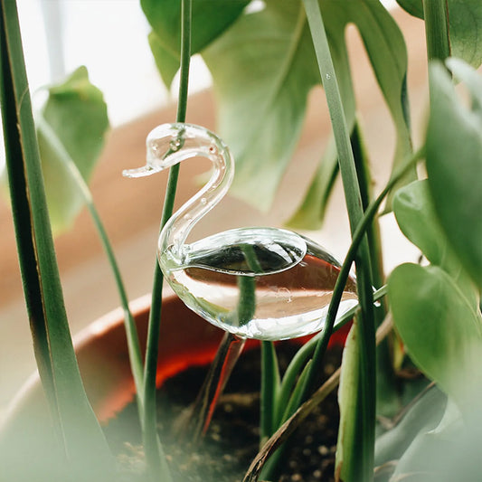 Swan Water Globe