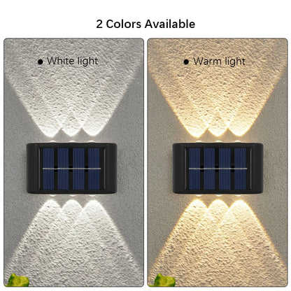 Outdoor LED Decor
