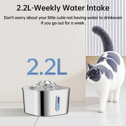 Auto Cat Fountain