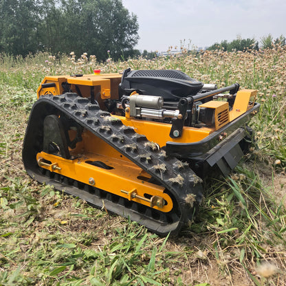 Robotic Lawn Mower
