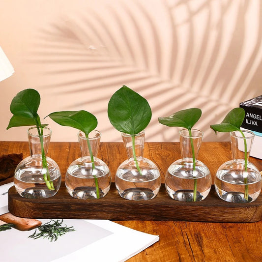 Modern Glass Plant