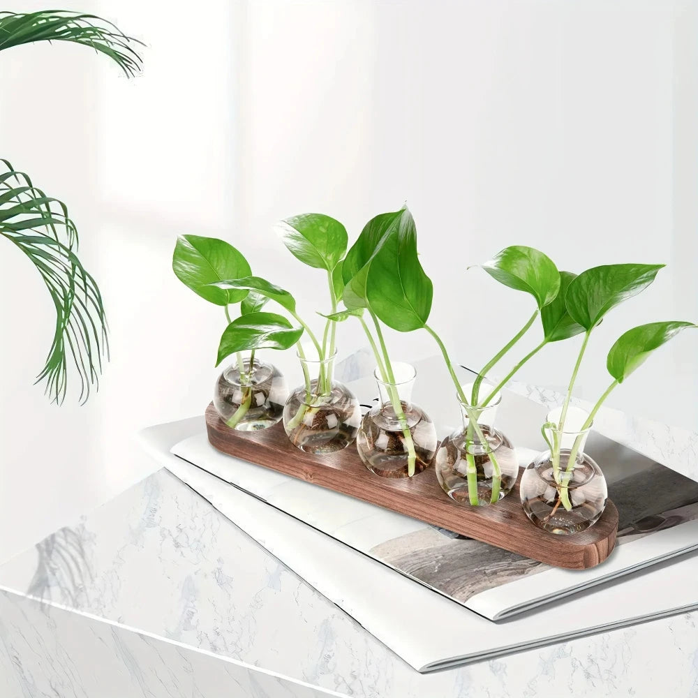 Modern Glass Plant