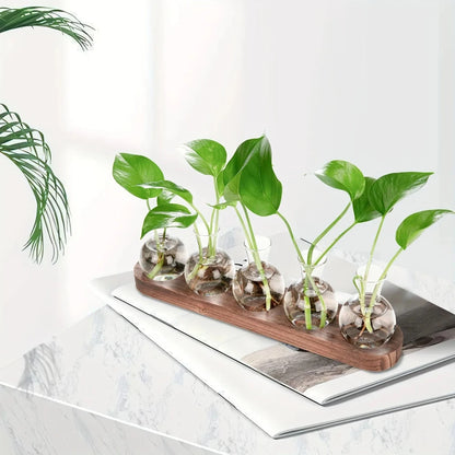 Modern Glass Plant