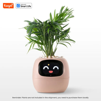 Tuya Smart Planter
