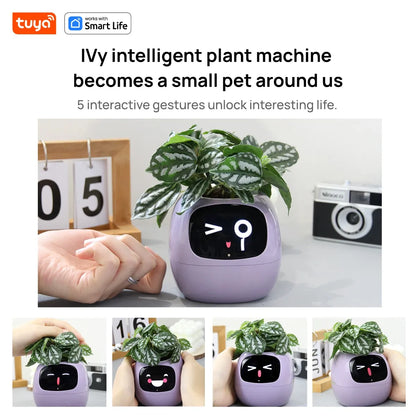 Tuya Smart Planter