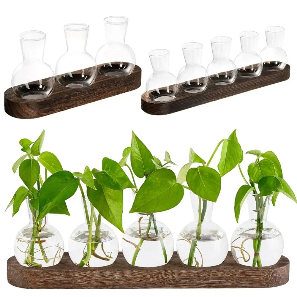 Modern Glass Plant