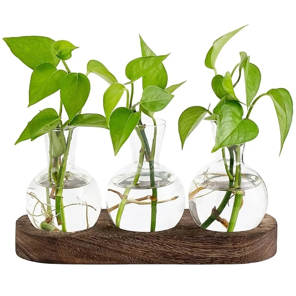 Modern Glass Plant