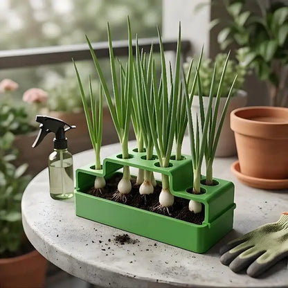 Scallion Planter
