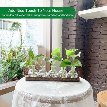 Modern Glass Plant