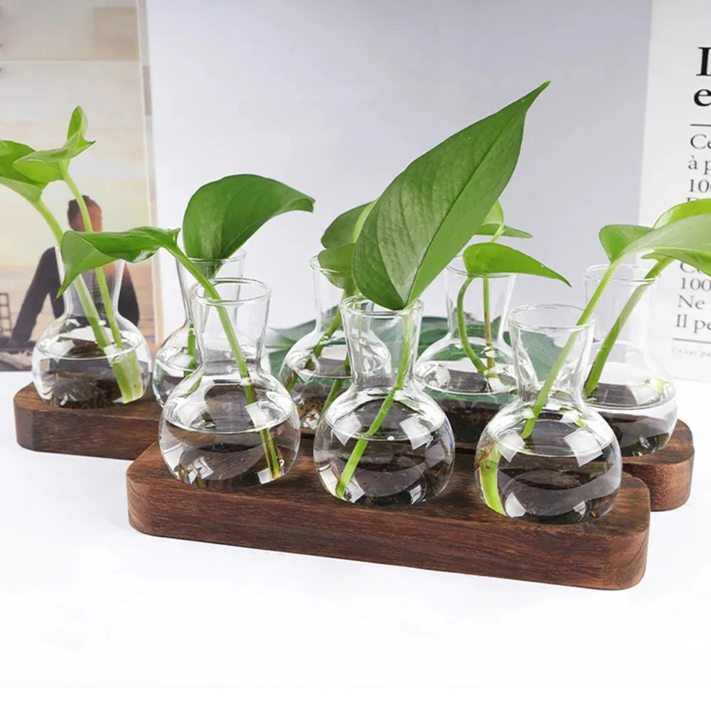 Modern Glass Plant