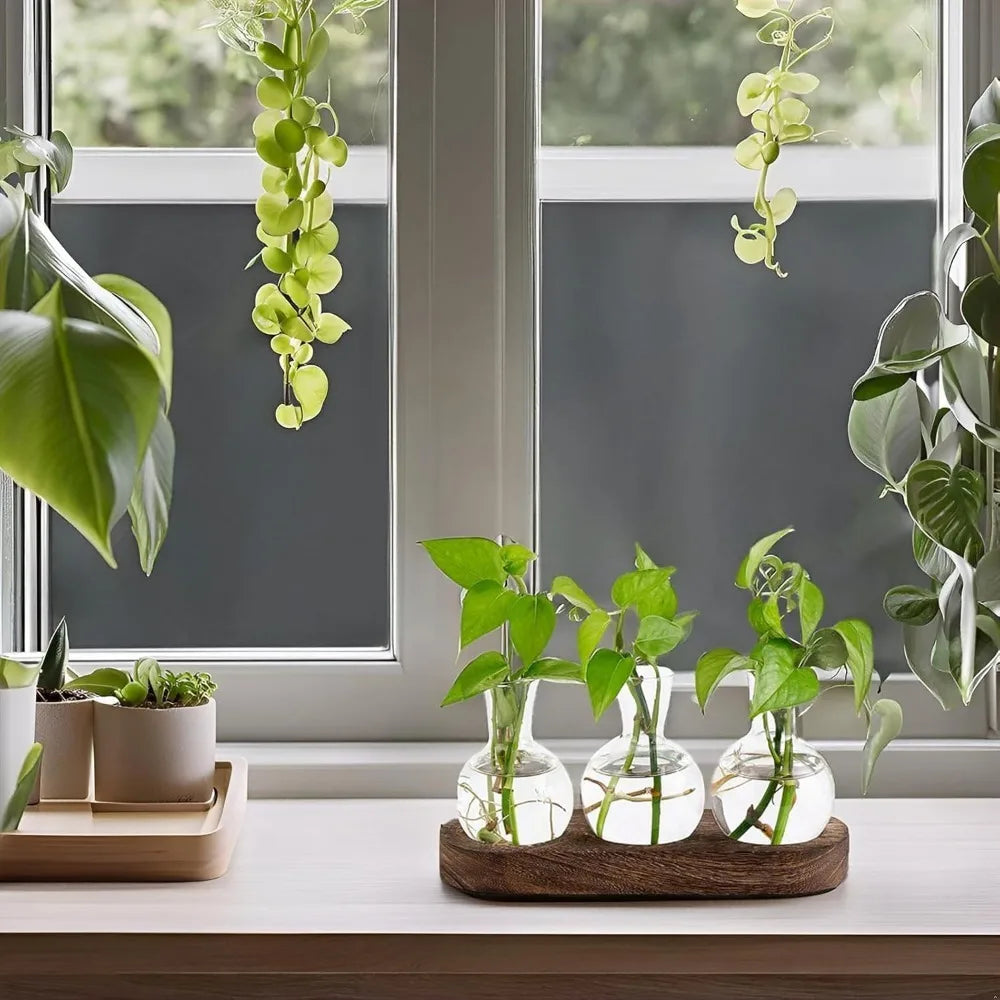 Modern Glass Plant