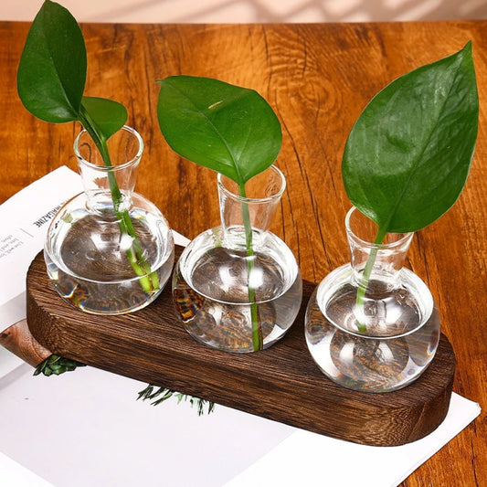 Modern Glass Plant