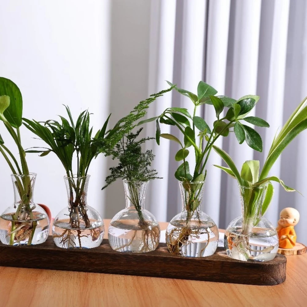 Modern Glass Plant