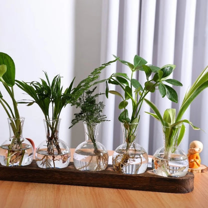Modern Glass Plant