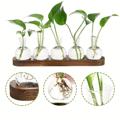 Modern Glass Plant
