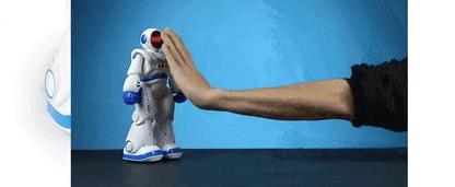 Smart Robot Toy