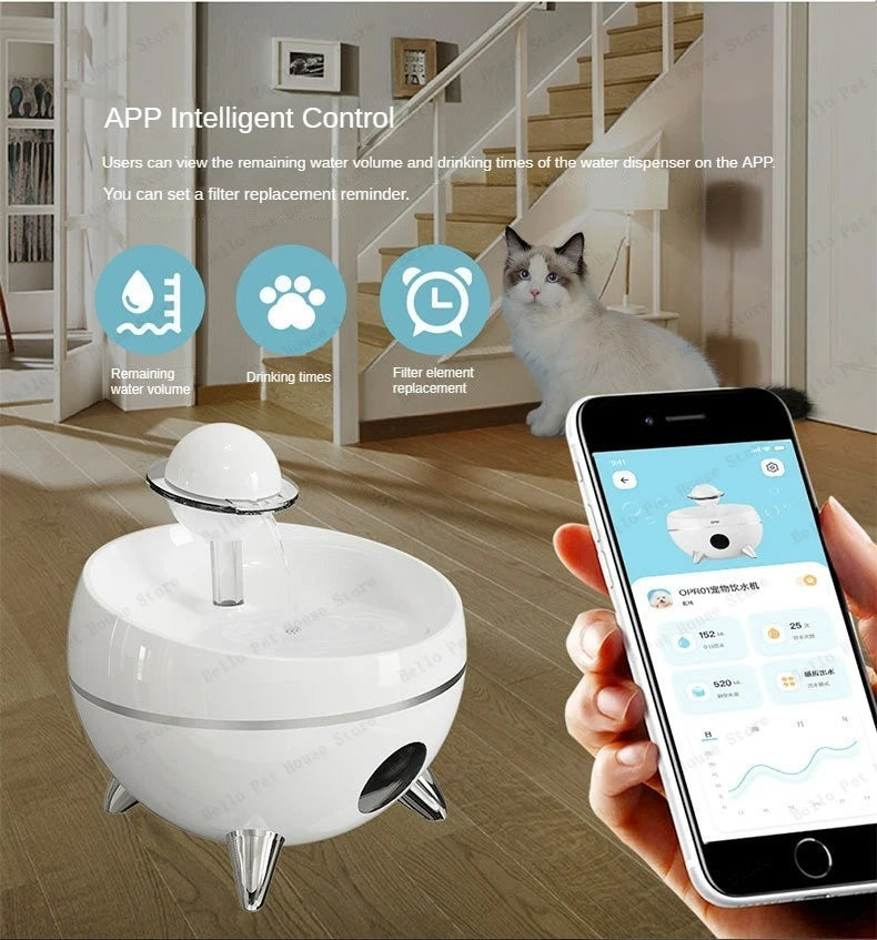 Pet Water Feeder