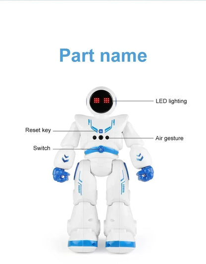 Smart Robot Toy