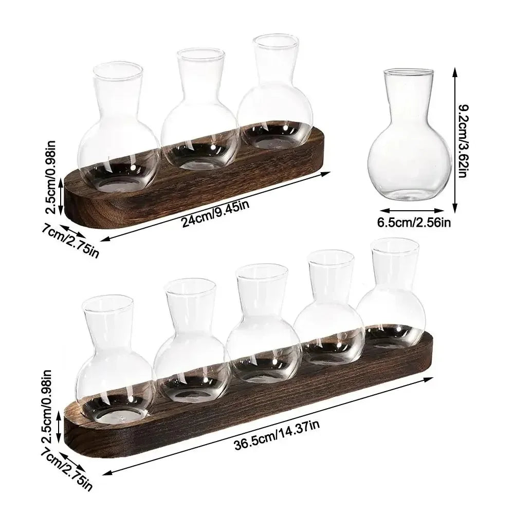 Modern Glass Plant