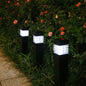 Solar Garden Lights