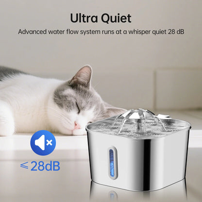 Auto Cat Fountain