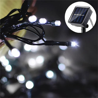 Solar String Lights