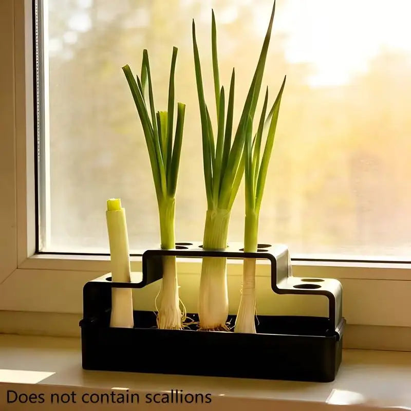 Scallion Planter