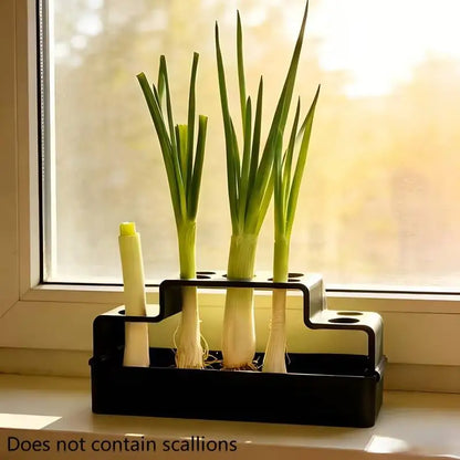 Scallion Planter