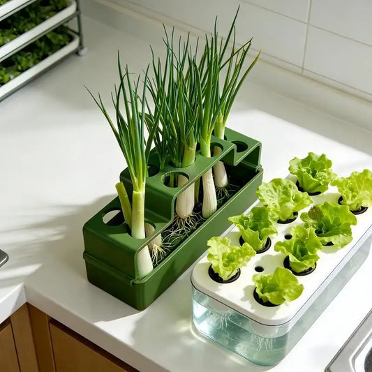 Scallion Planter