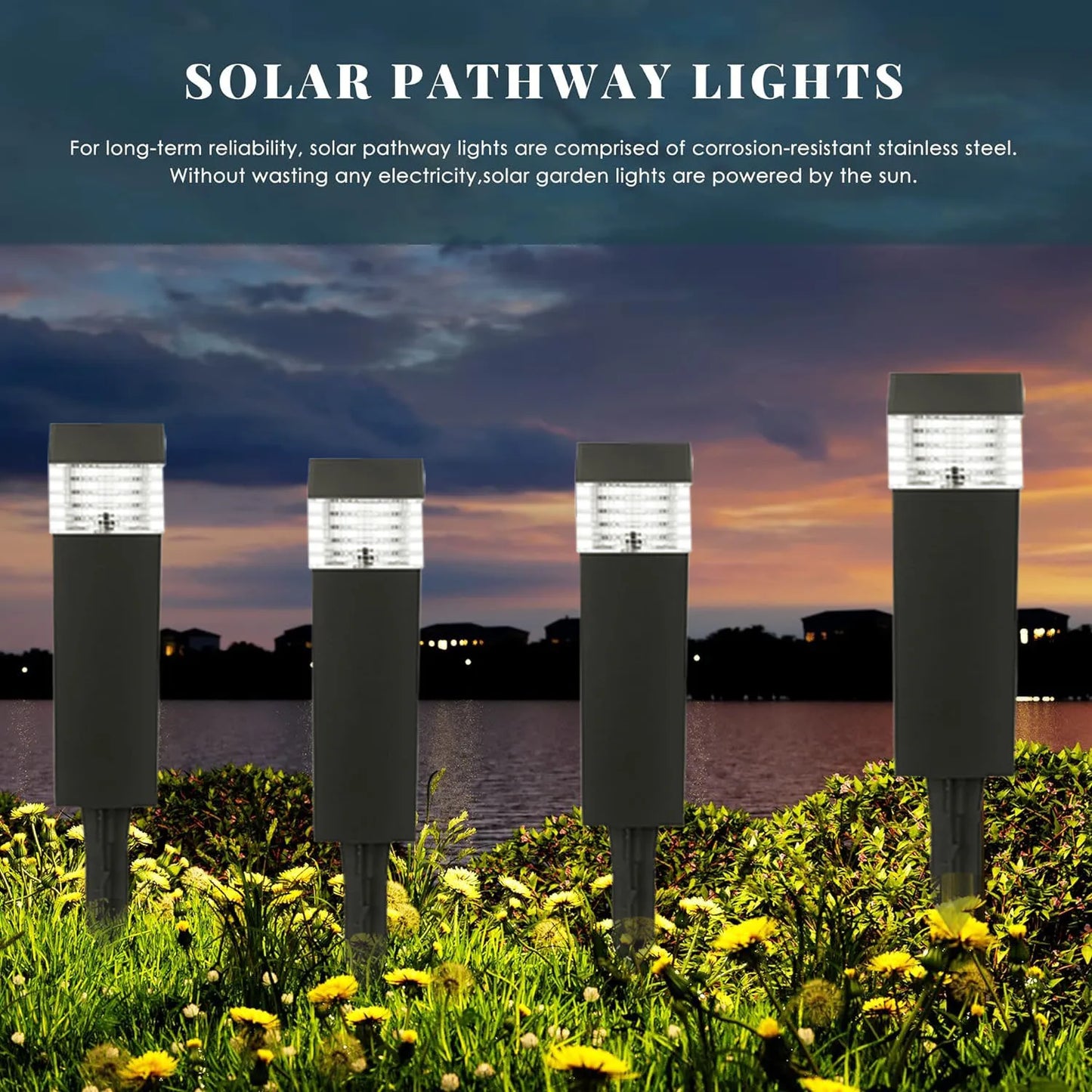 Solar Garden Lights