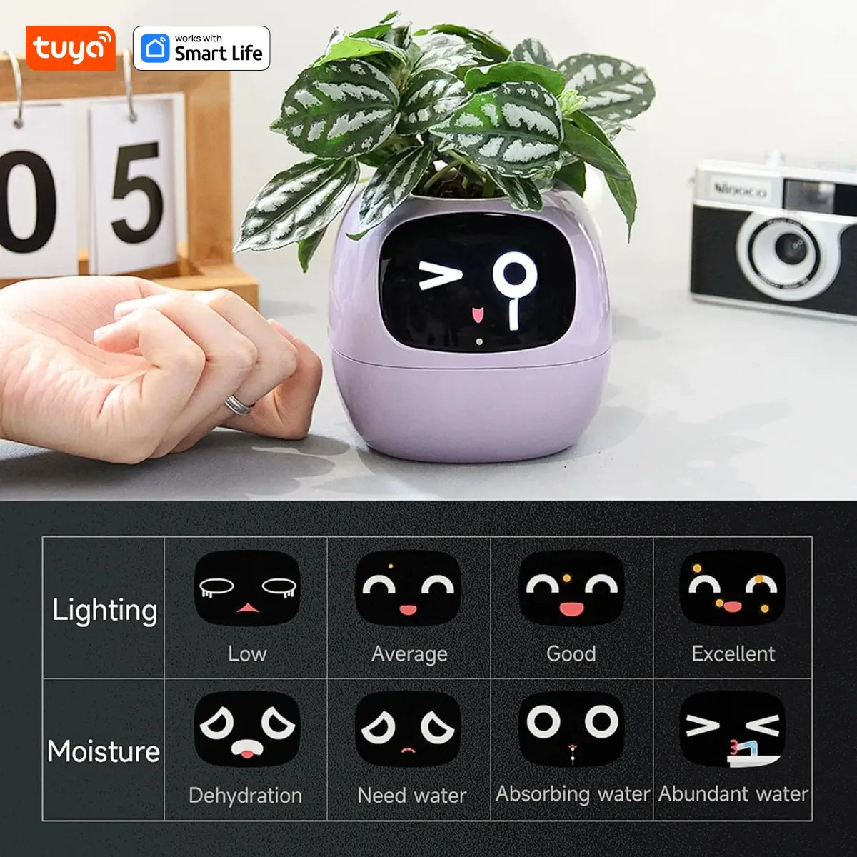 Tuya Smart Planter