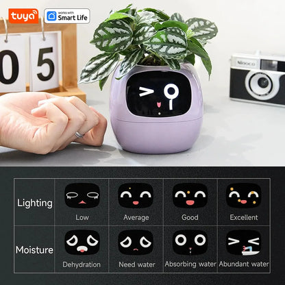 Tuya Smart Planter