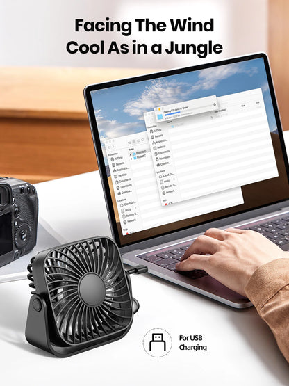 Desk Fan