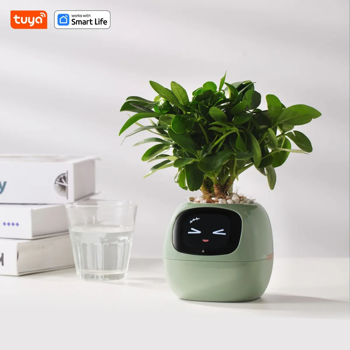 Tuya Smart Planter