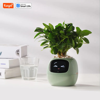 Tuya Smart Planter