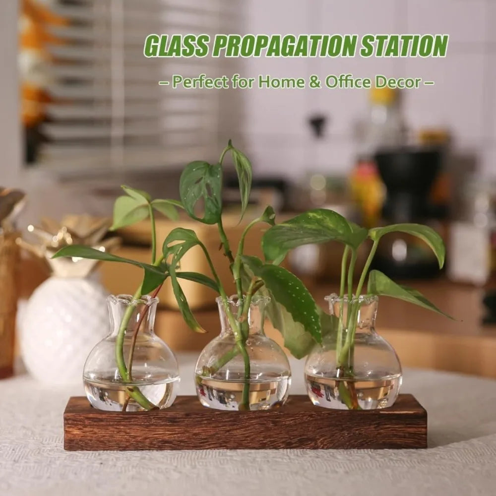 Modern Glass Plant