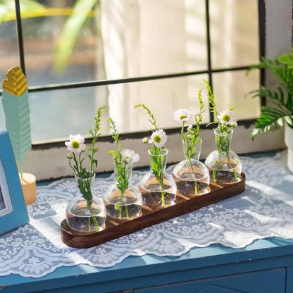 Modern Glass Plant