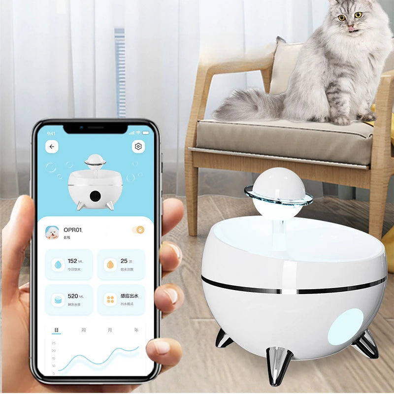 Pet Water Feeder
