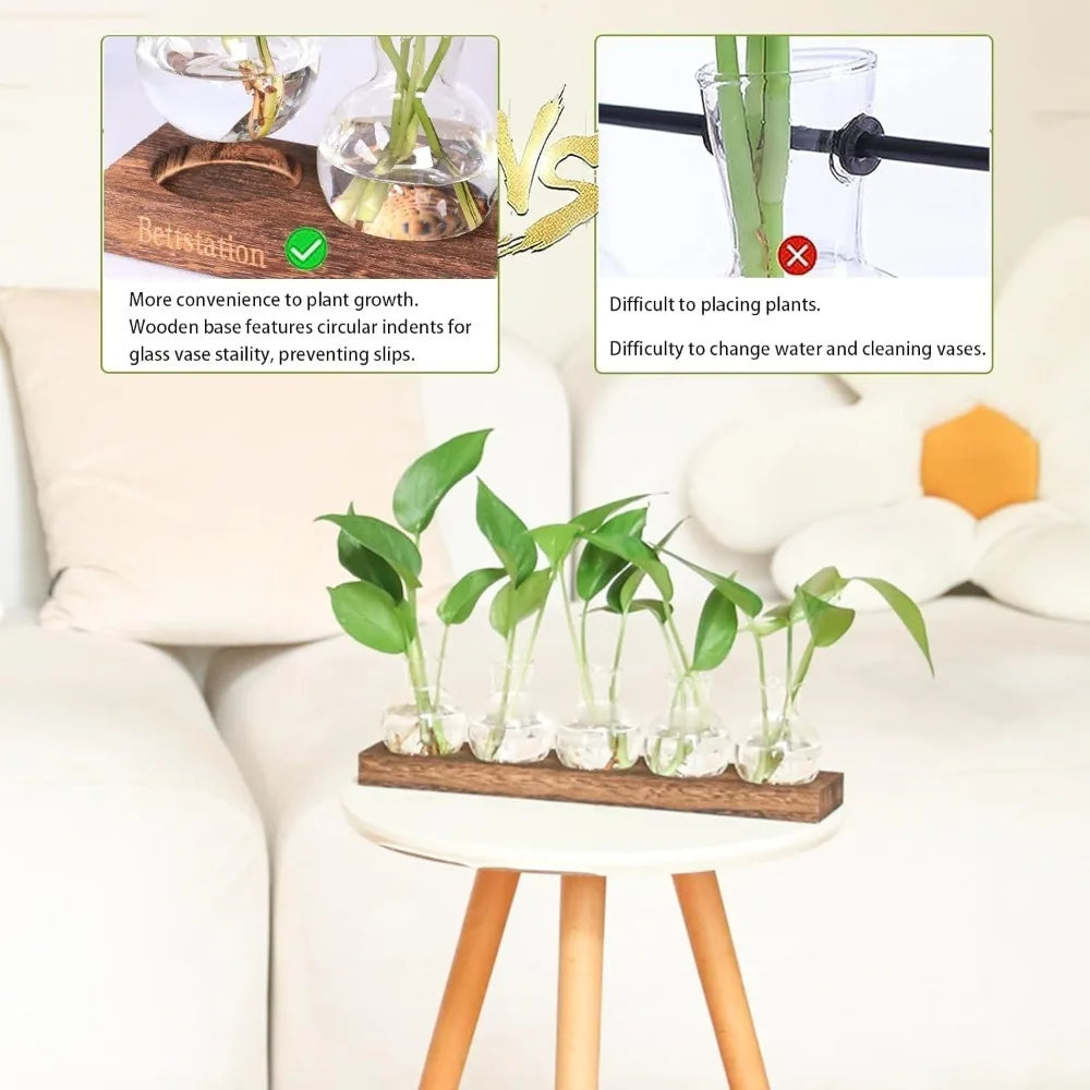 Modern Glass Plant