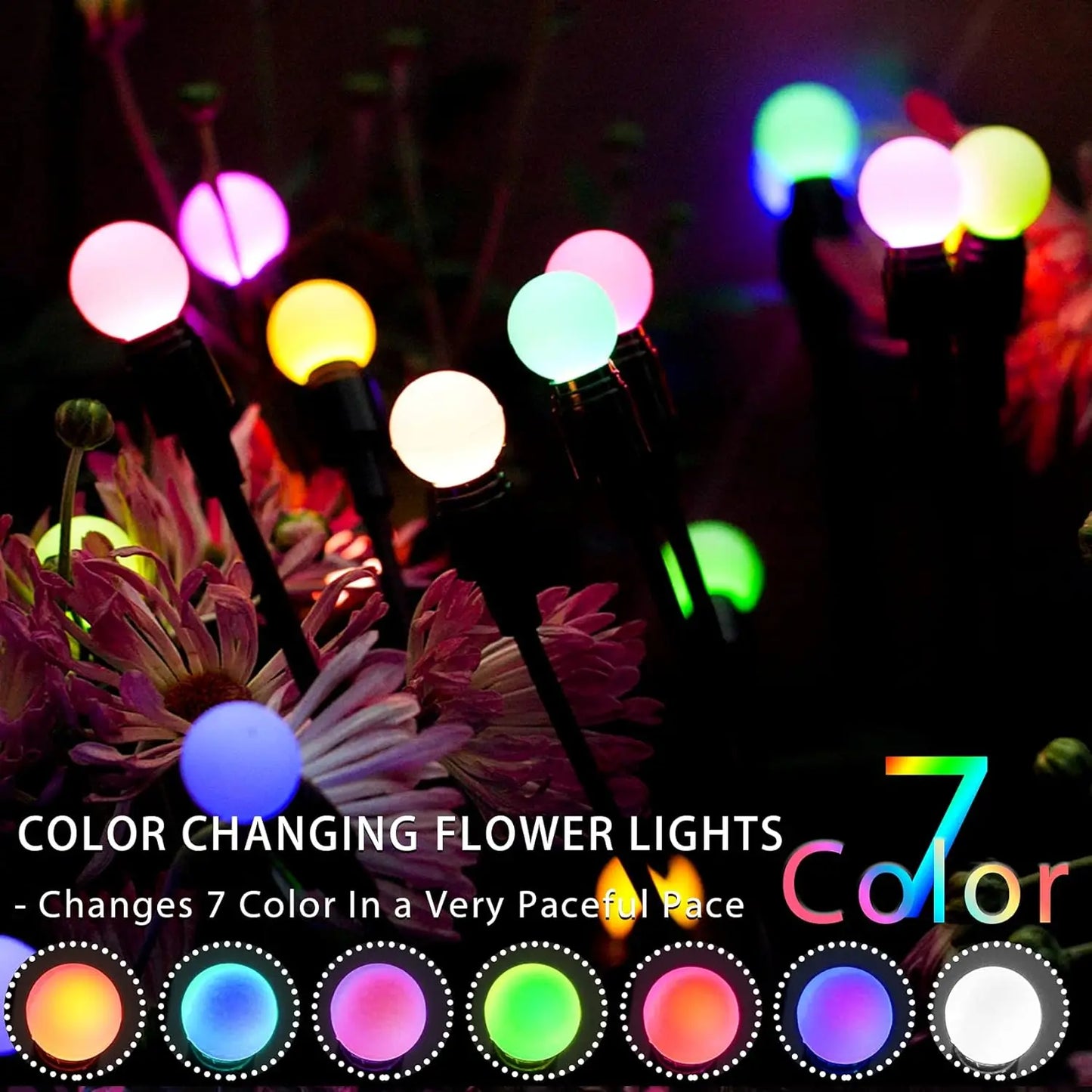 Solar Garden Lights