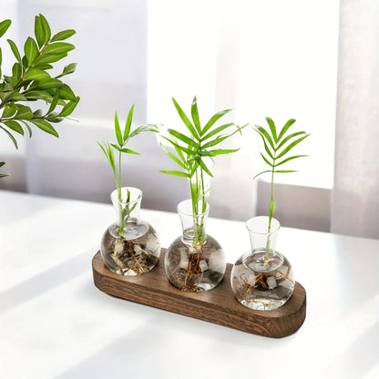 Modern Glass Plant