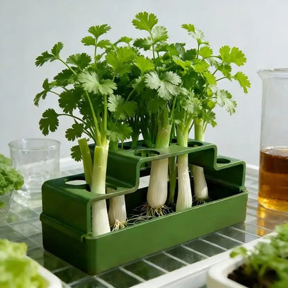 Scallion Planter