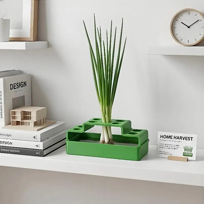 Scallion Planter