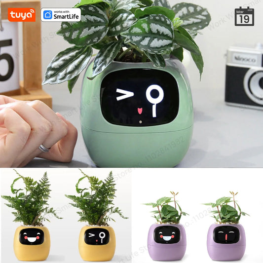 Tuya Smart Planter