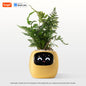 Tuya Smart Planter