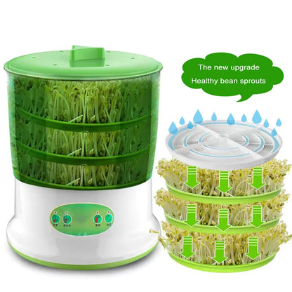 Smart Bean Sprout Kits