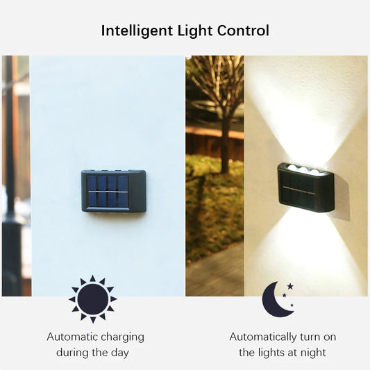 Outdoor LED Decor