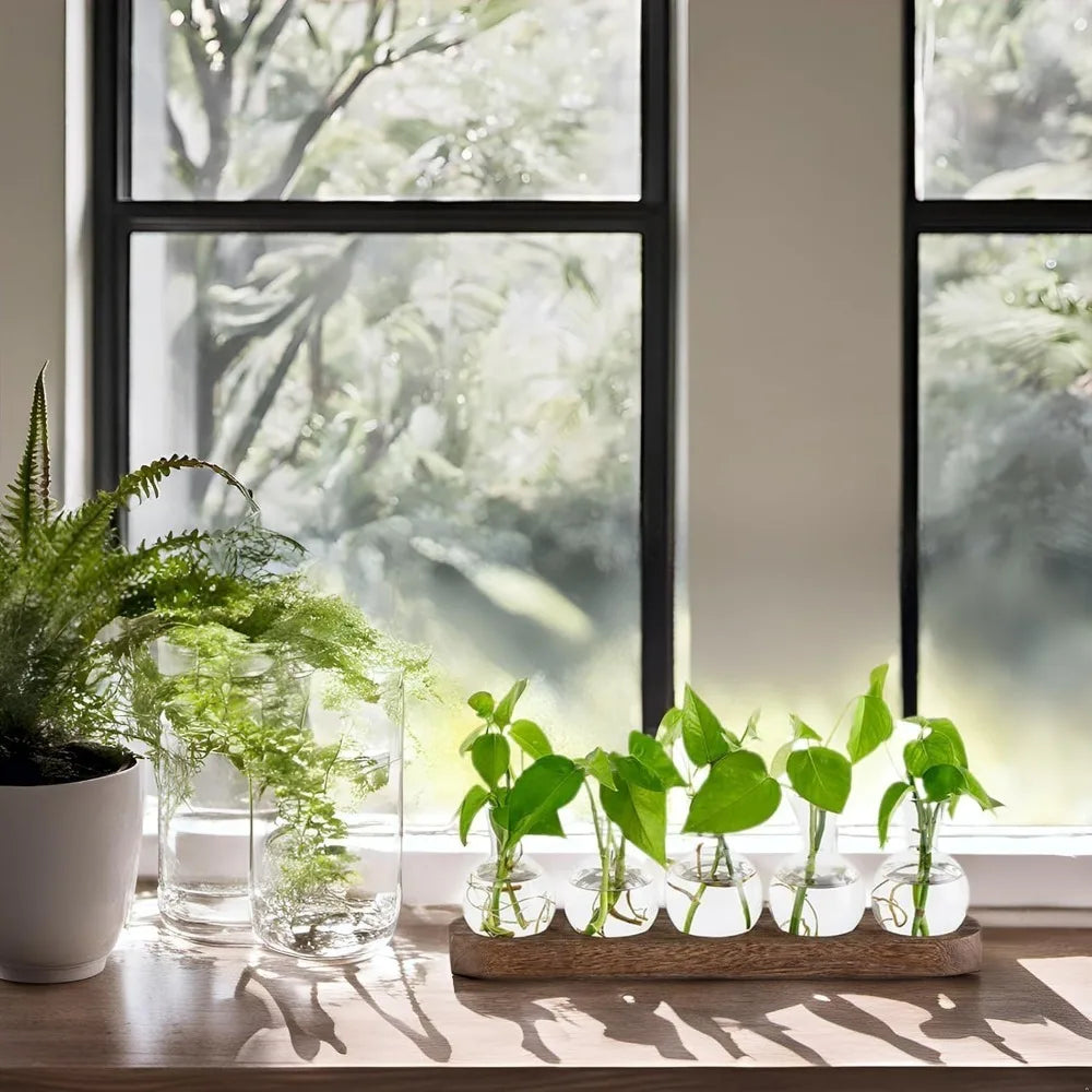 Modern Glass Plant