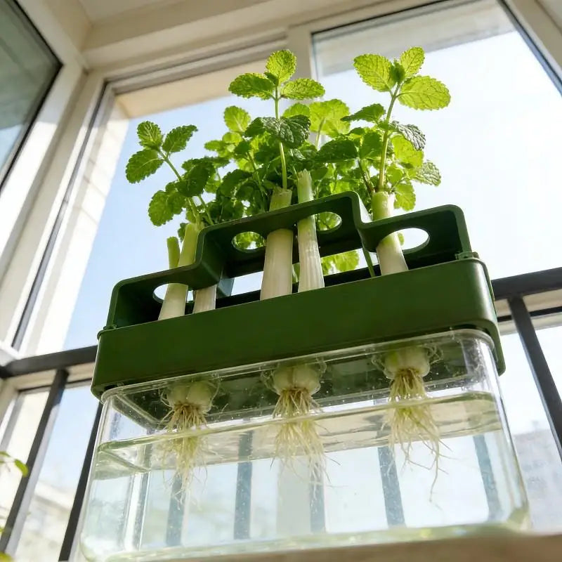 Scallion Planter