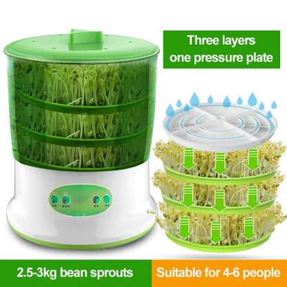 Smart Bean Sprout Kits